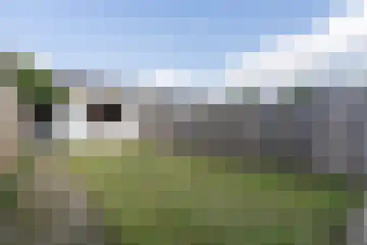 Maesenburg 9 Weert thumbnail 25