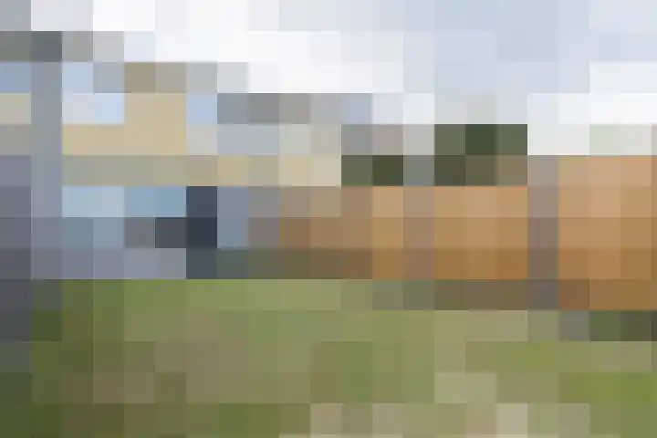 Maesenburg 9 Weert thumbnail 4