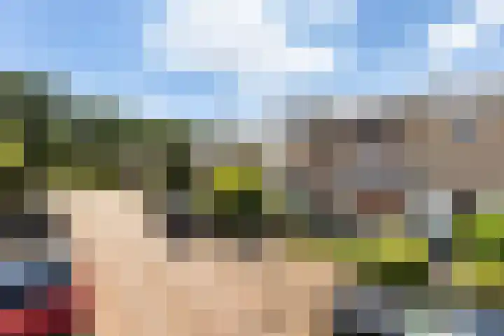Maeskamp 24 Hattem thumbnail 4