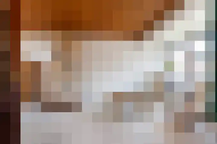 Maeskamp 24 Hattem thumbnail 8