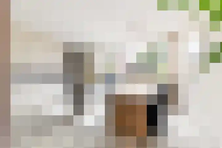 Maeterlinckdreef 16 Maassluis thumbnail 13