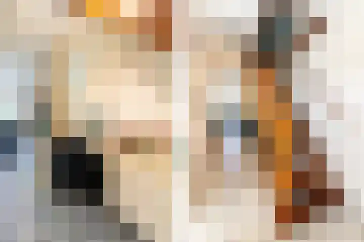 Maeterlinckdreef 16 Maassluis thumbnail 23