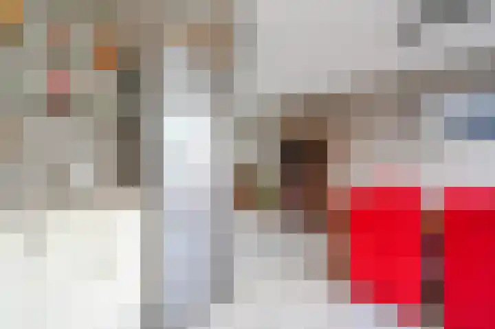 Maeterlinckdreef 22 Maassluis thumbnail 11