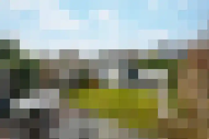 Maeterlinckdreef 22 Maassluis thumbnail 13