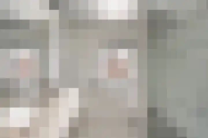 Maeterlinckdreef 4 Maassluis thumbnail 22