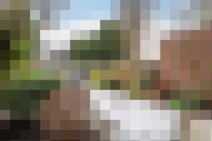 Maeterlinckdreef 4 Maassluis thumbnail 34