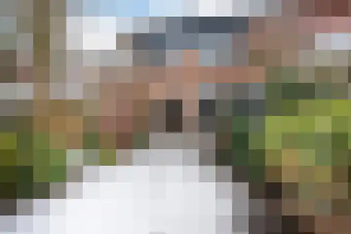 Maeterlinckdreef 4 Maassluis thumbnail 36