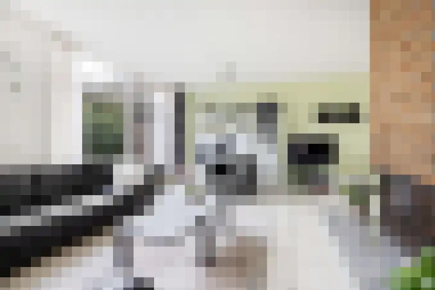 Maeterlinckdreef 6 Maassluis thumbnail 10