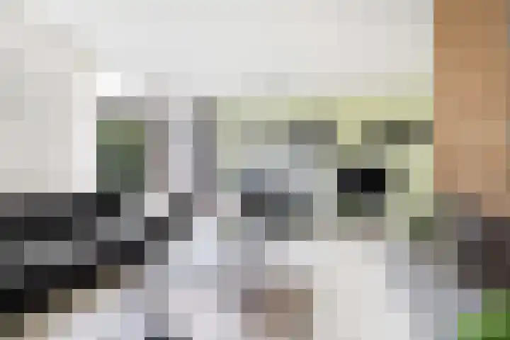 Maeterlinckdreef 6 Maassluis thumbnail 10