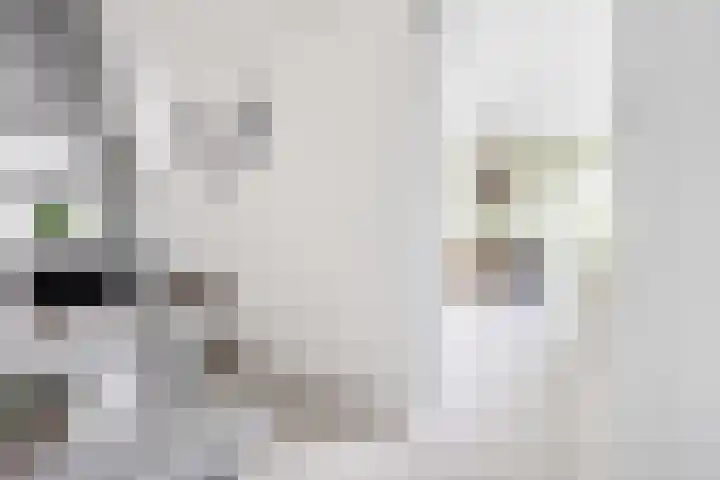 Maeterlinckdreef 6 Maassluis thumbnail 19