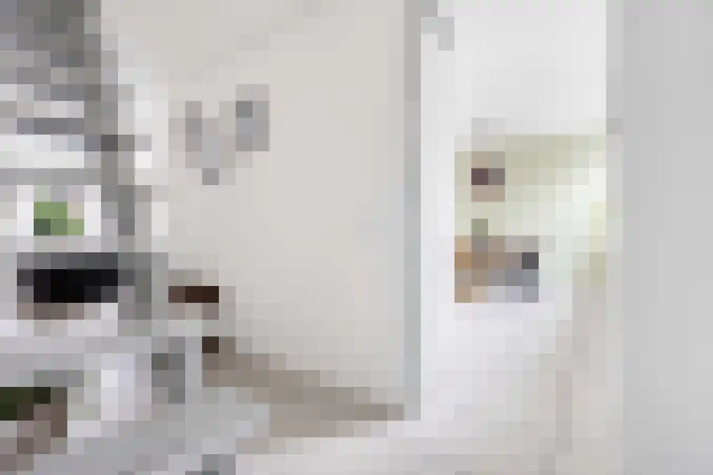 Maeterlinckdreef 6 Maassluis thumbnail 19