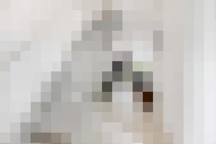 Maeterlinckdreef 6 Maassluis thumbnail 20