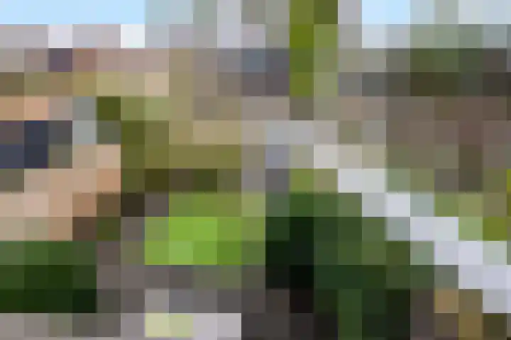 Maeterlinckdreef 6 Maassluis thumbnail 21