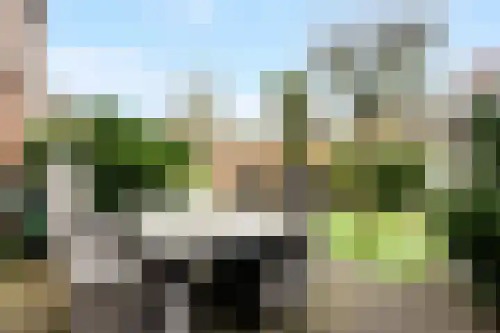 Maeterlinckdreef 6 Maassluis thumbnail 22