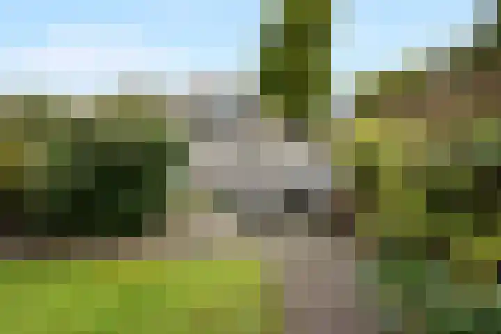 Maeterlinckdreef 6 Maassluis thumbnail 24