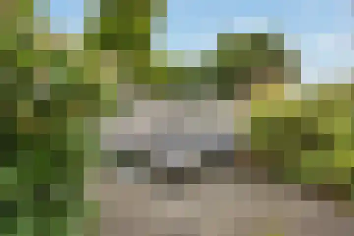 Maeterlinckdreef 6 Maassluis thumbnail 25