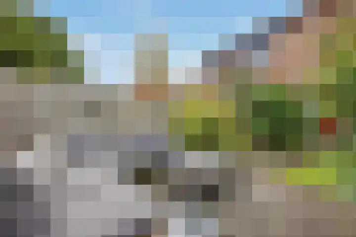Maeterlinckdreef 6 Maassluis thumbnail 26