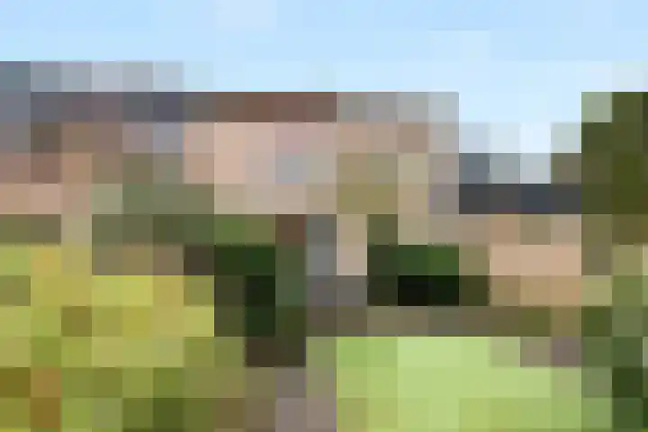 Maeterlinckdreef 6 Maassluis thumbnail 27