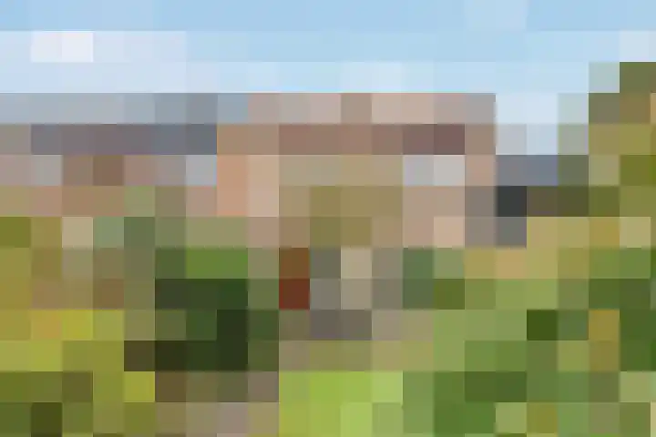 Maeterlinckdreef 6 Maassluis thumbnail 28