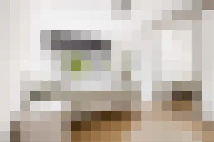 Maeterlinckdreef 6 Maassluis thumbnail 30