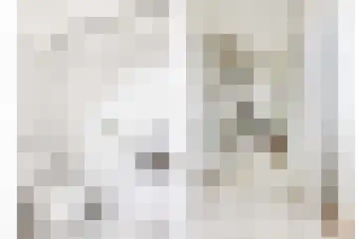 Maeterlinckdreef 6 Maassluis thumbnail 38