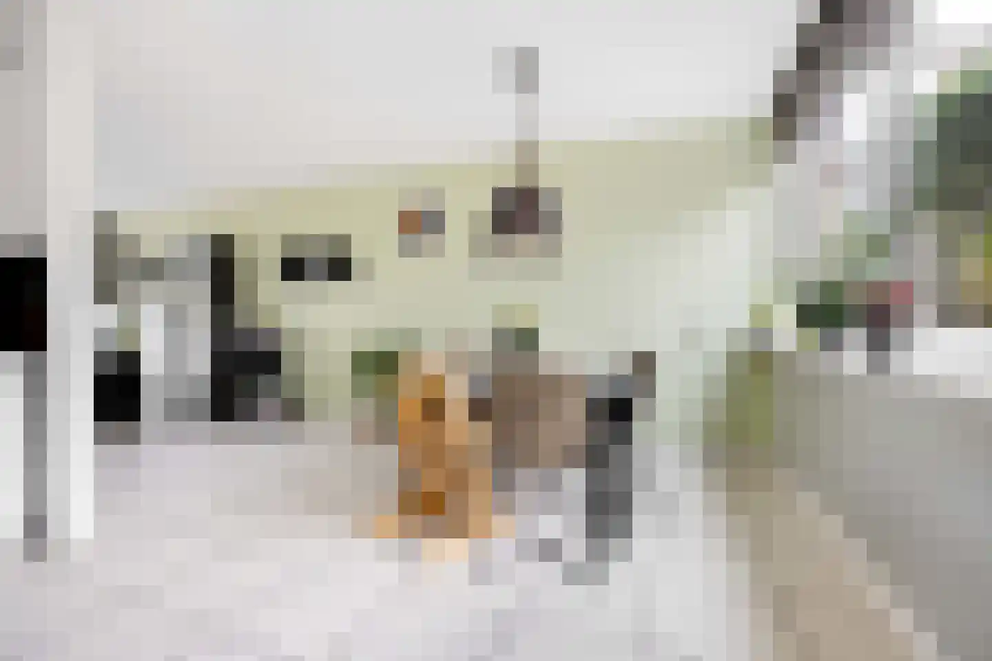 Maeterlinckdreef 6 Maassluis thumbnail 5