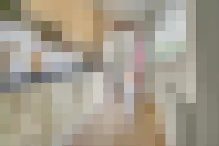 Maetsuykerstraat 2 Utrecht thumbnail 12