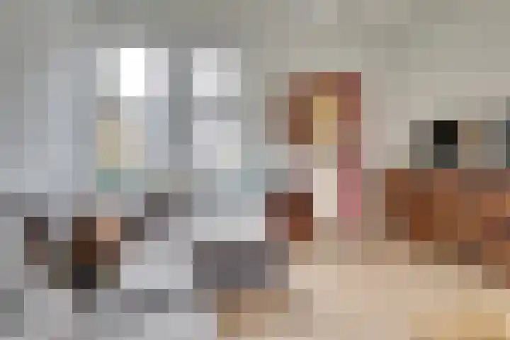 Maetsuykerstraat 2 Utrecht thumbnail 6