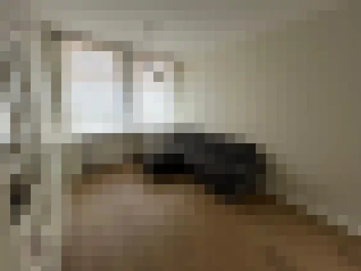 Maetsuykerstraat 20 Utrecht thumbnail 4