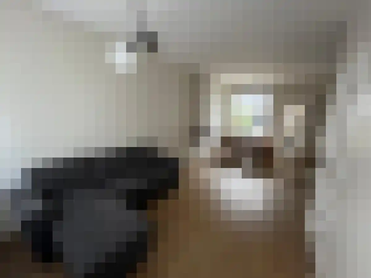 Maetsuykerstraat 20 Utrecht thumbnail 5