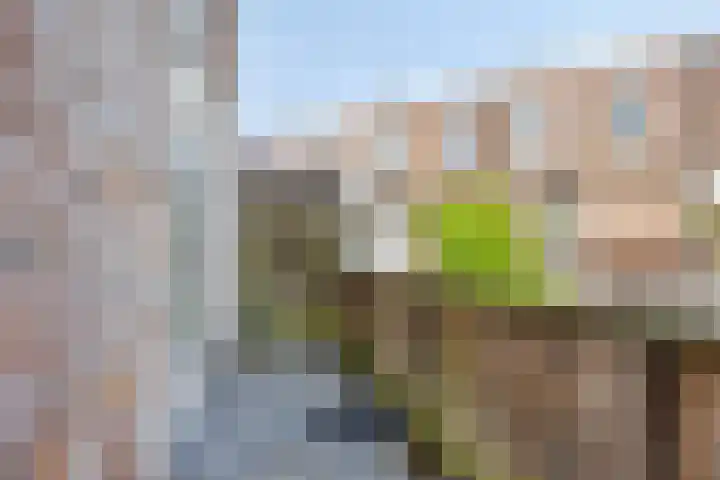 Maetsuykerstraat 7 BS Utrecht thumbnail 11