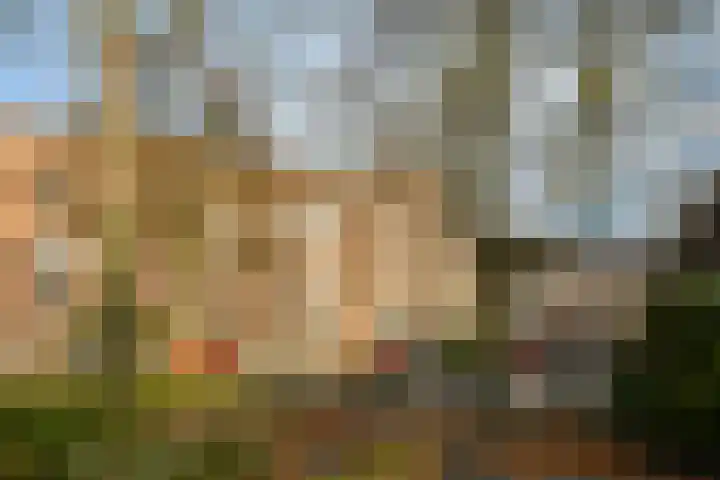 Magalhaensplein 10 3 Amsterdam thumbnail 16