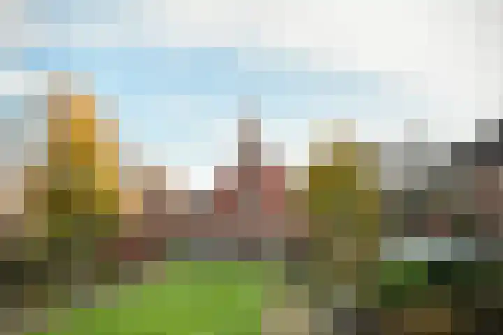 Magalhaensplein 10 3 Amsterdam thumbnail 17