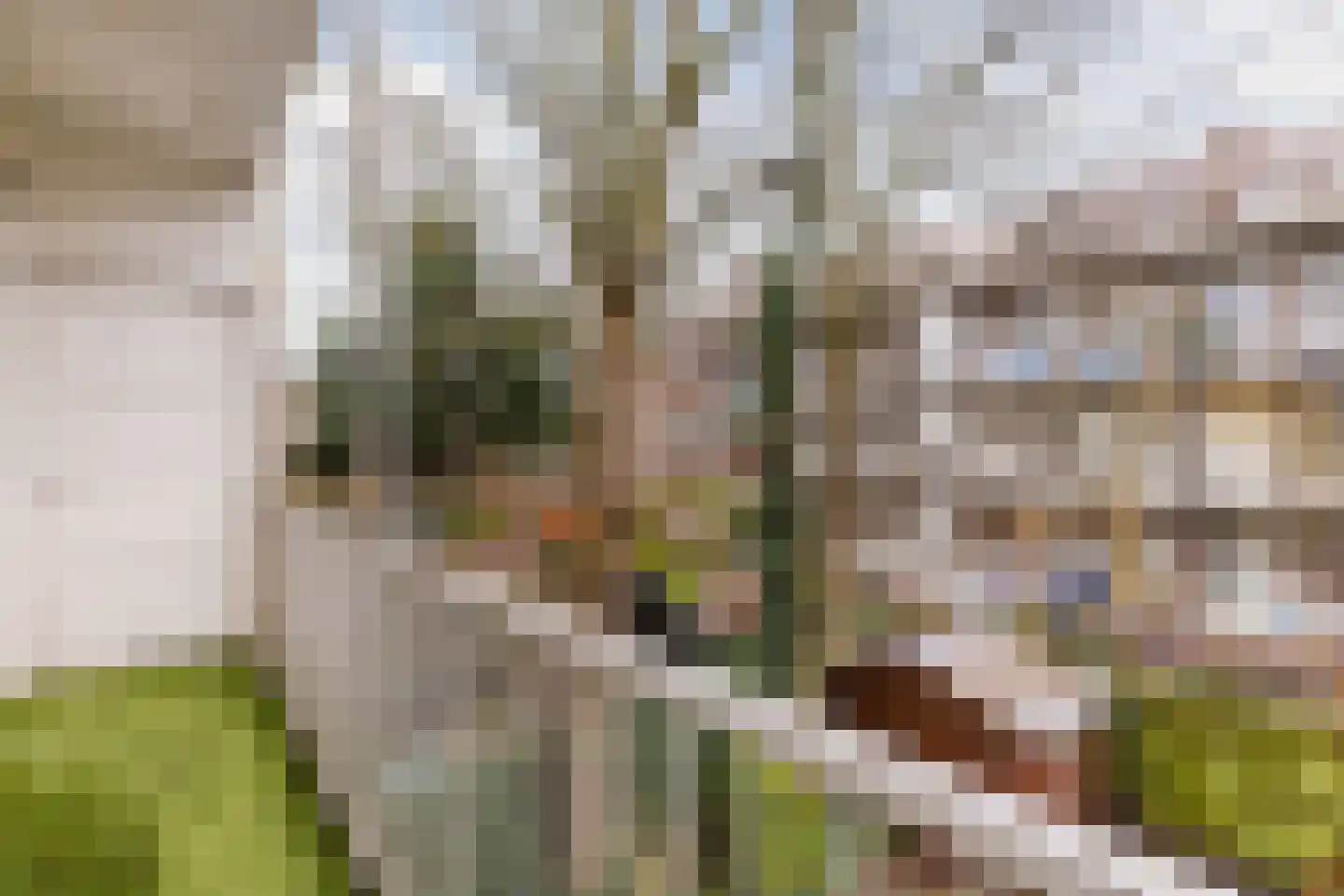 Magalhaensplein 9 3 Amsterdam thumbnail 19