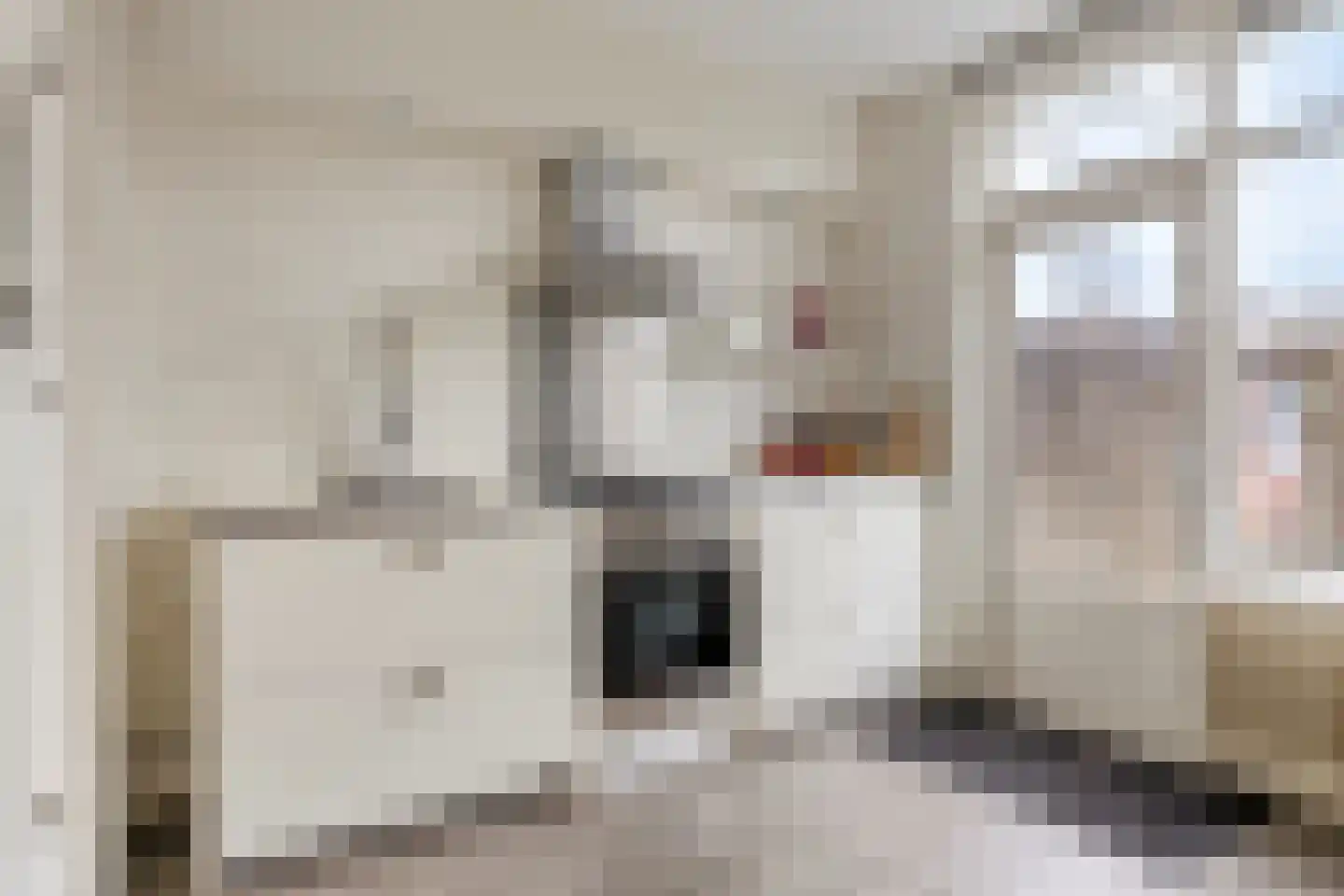 Magalhaeslaan 18 Gouda thumbnail 10