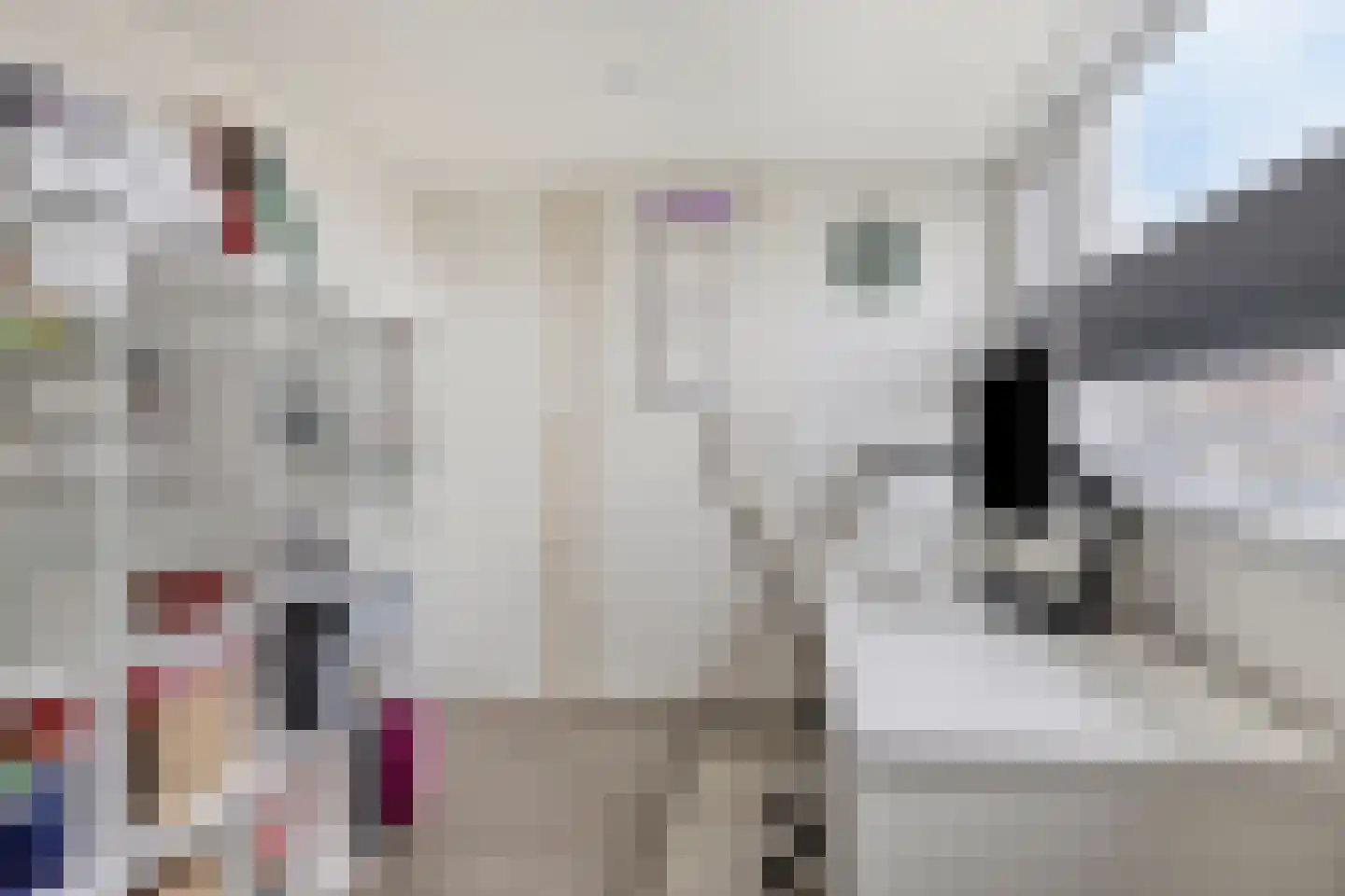 Magalhaeslaan 18 Gouda thumbnail 30