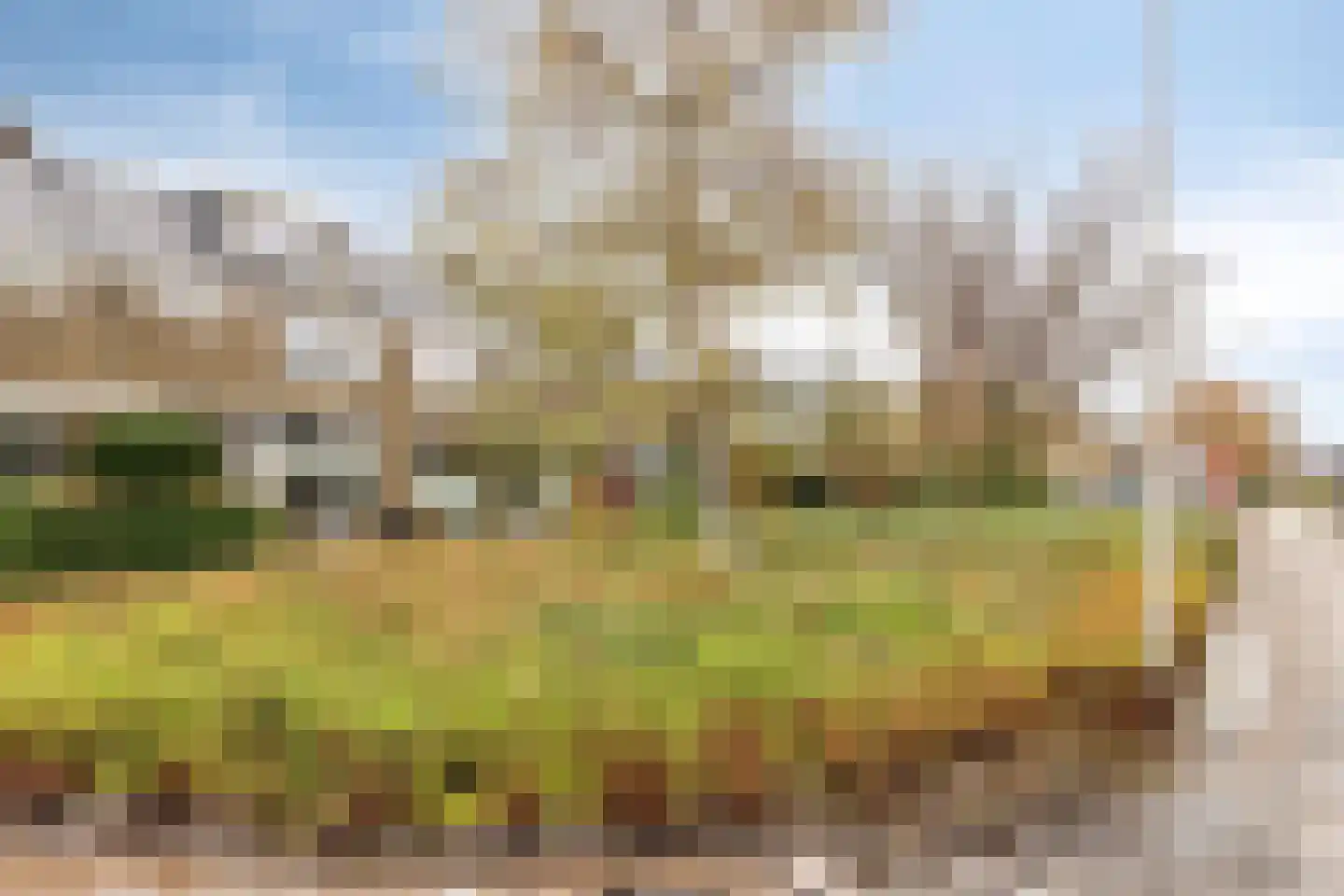 Magalhaeslaan 18 Gouda thumbnail 32
