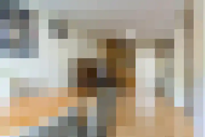 Magalhaesstraat 12 Geldrop thumbnail 13