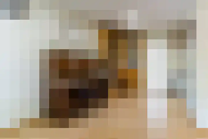 Magalhaesstraat 12 Geldrop thumbnail 15