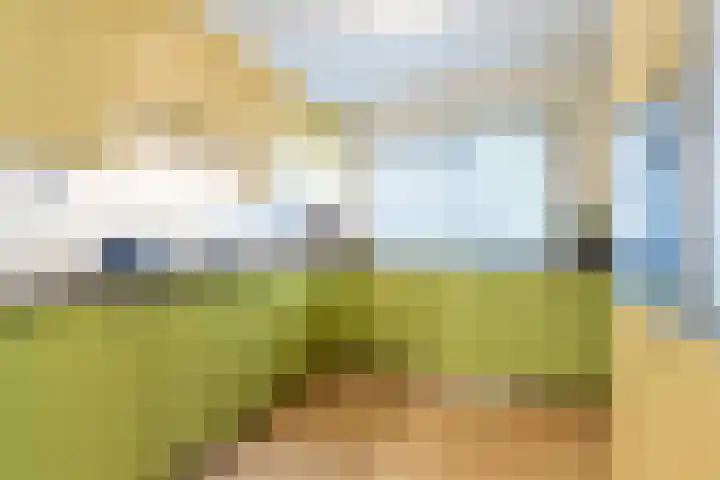 Magalhaesstraat 12 Geldrop thumbnail 16