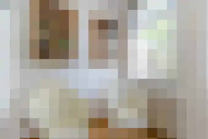 Magalhaesstraat 12 Geldrop thumbnail 18
