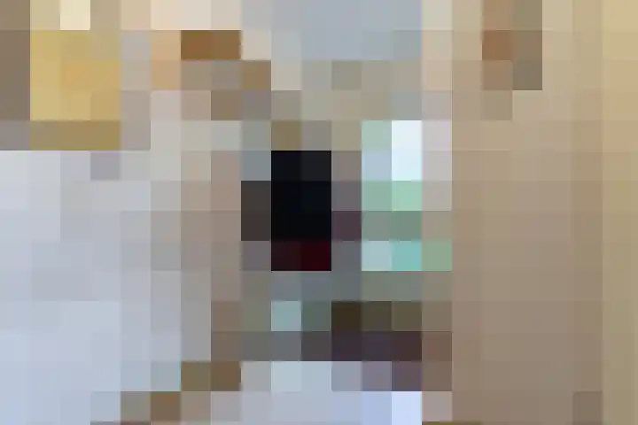 Magalhaesstraat 12 Geldrop thumbnail 21