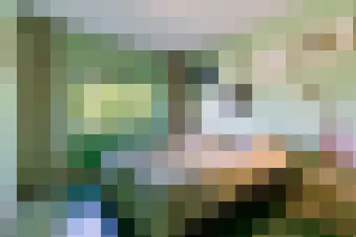 Magalhaesstraat 12 Geldrop thumbnail 22