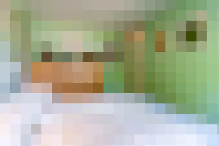 Magalhaesstraat 12 Geldrop thumbnail 23
