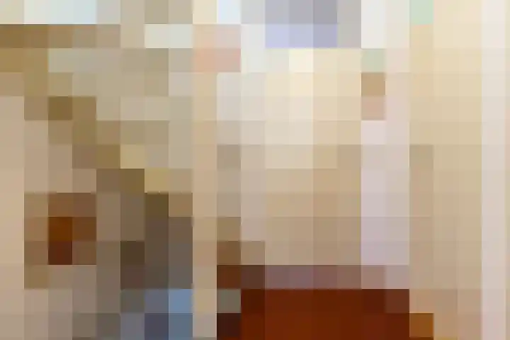 Magalhaesstraat 12 Geldrop thumbnail 28