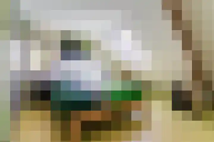 Magalhaesstraat 12 Geldrop thumbnail 32