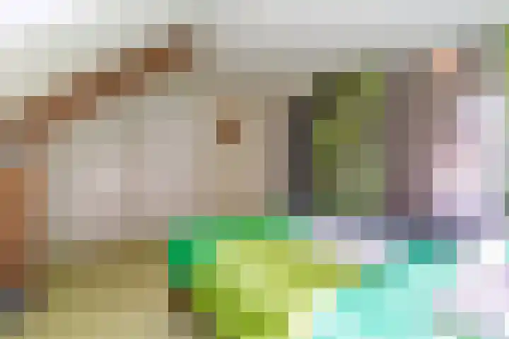 Magalhaesstraat 12 Geldrop thumbnail 33