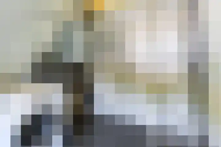 Magalhaesstraat 12 Geldrop thumbnail 38