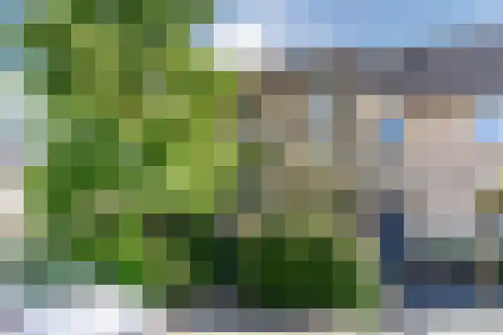 Magalhaesstraat 12 Geldrop thumbnail 4
