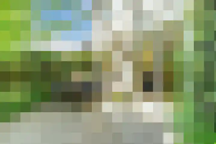 Magalhaesstraat 12 Geldrop thumbnail 41